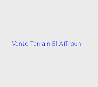 Vente Terrain  Blida